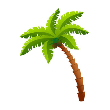 Palm tree icon in flat style isolated on white background vector illustration