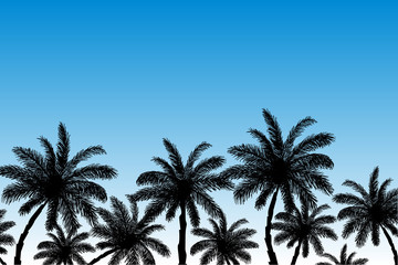Vector image of silhouettes of palm trees against a blue sky at sunrise. Summer beach illustration.