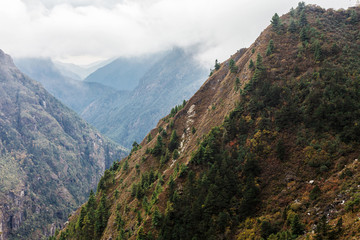 Fototapeta premium Nature of the Himalayas