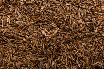 Seeds of cumin on a dark stone background