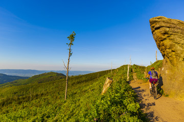 Mountain biking women riding on bike in summer mountains forest landscape. Woman cycling MTB flow trail track. Outdoor sport activity.
