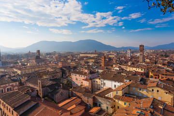 Lucca view from Guinigi Tower. - obrazy, fototapety, plakaty