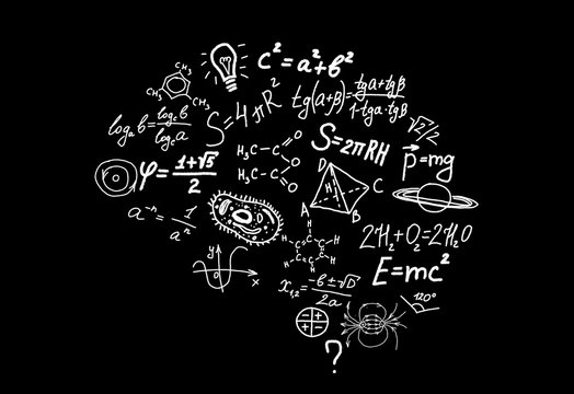 Shape of human brain of scienctific symbols, formulas and equations on