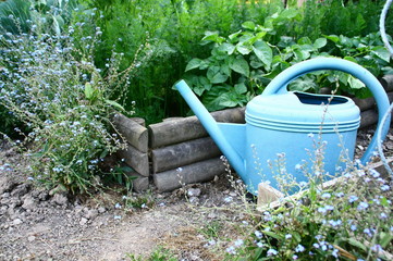 arrosoir et carré potager © Patryssia