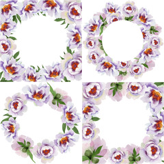 Gently pink peonies. Floral botanical flower.Frame border ornament square. Aquarelle wildflower for background, texture, wrapper pattern, frame or border.