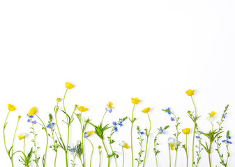 Meadow flowers with field buttercups and pansies isolated on white background. Top view with copy space. Flat lay.