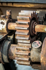 Rusty wheels portrait