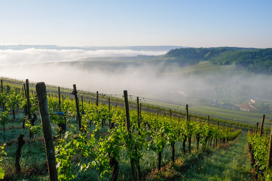 Remich im Morgennebel von der Morgensonne beleuchtet