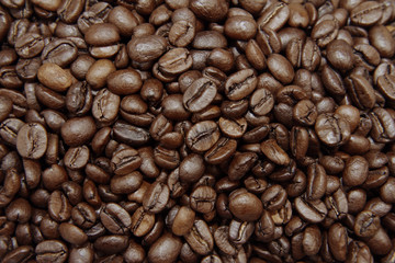 Roasted coffee beans