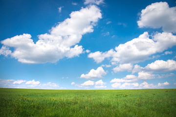 Green grass and blue sky background. Horizontal photo.