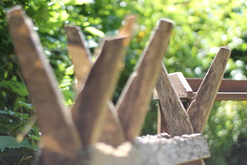 Bock2