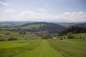 Fototapeta na wymiar A view over spring fields in the Pieniny Mountains (Carpathians)