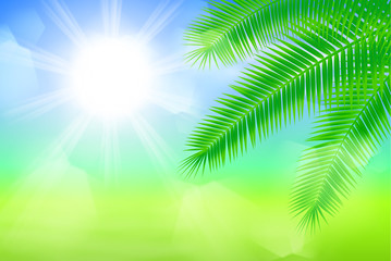 Sunny background with palm leaves with and light on lens. EPS10 vector.