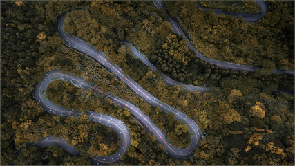 Curve road on mountain pass forest