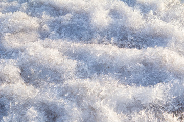 Obraz premium texture of ice slices in the sun.