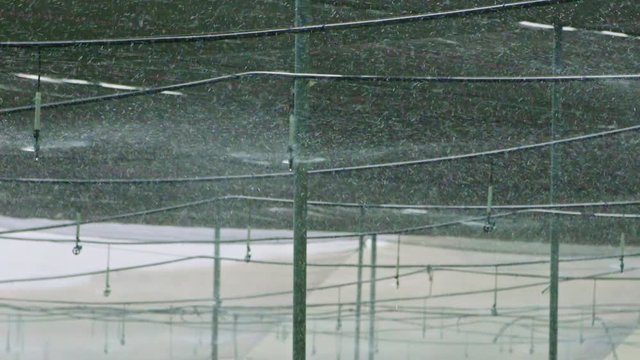Slow motion - water sprinkers watering inside a greenhouse