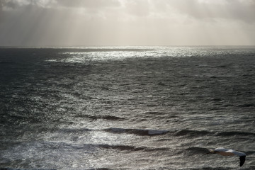 Helgoland, Meer, Horizont
