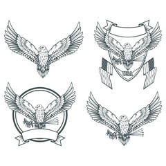 Fototapeta premium set of eagles. Bald eagle logo. Wild birds drawing. Head of an eagle. Vector graphics to design.