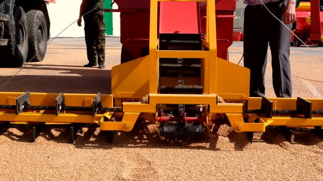 Grabbing grain from asphalt surface by scrapers of conveyor grain loader