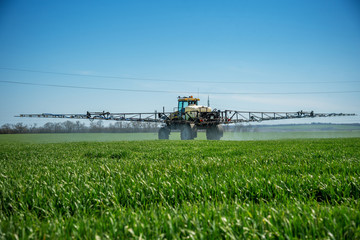 Tractor spraying wheat field. - obrazy, fototapety, plakaty