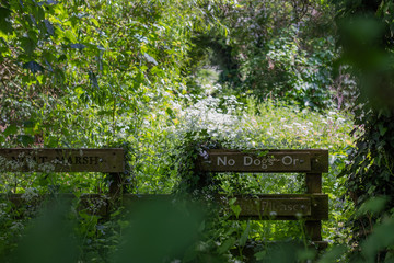 Fototapeta na wymiar No dogs sign in forest near to Harlow