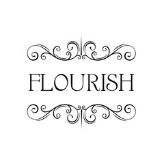 Flourish calligraphic frame. Swirly page decoration. Filigree scroll pattern. Wedding invitation, Greeting card design. Vector.