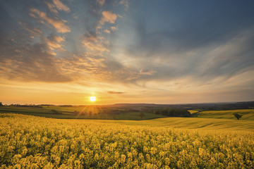 Dynamic Sunrise Over British Countryside Fields