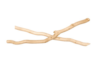 Wooden topiary stick isolated on white background. Natural decoration object.