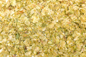 Green leaves of dry hop scattered on white background.