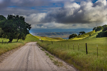 Rural Dirt Road through Farm Green Meadows 