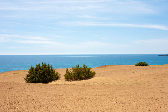 Desert at the beach at lake Korission in Corfu, Greece