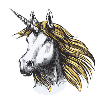 Unicorn horse fairy tale animal vector sketch