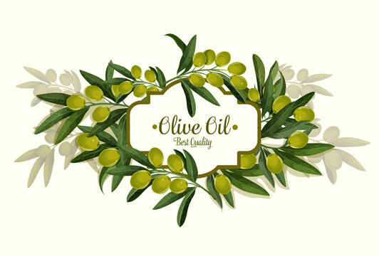 Olive oil best quality vector olives bunch poster