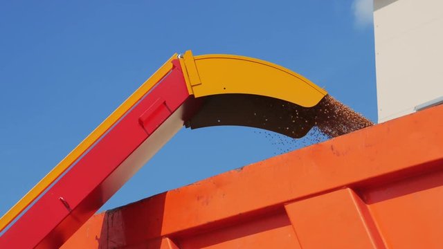 Loading grain into truck by grain thrower loader machine, close up