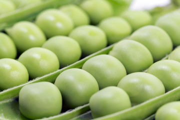 Green peas background
