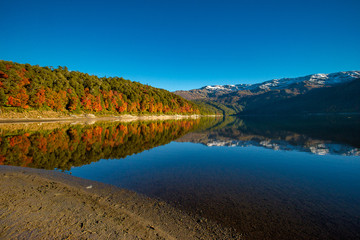 Reflejo de lago