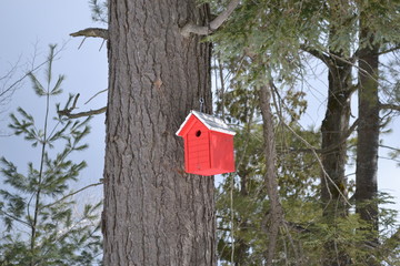 Red birdhouse