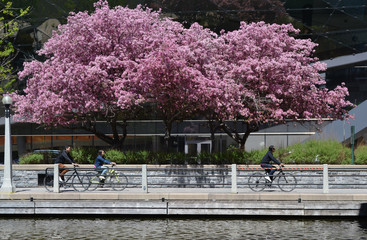 ottawa canal spring