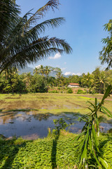 Borobudur, Java, Indonesia