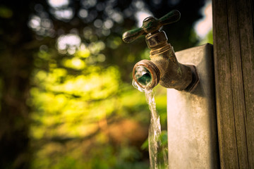 Sprintime faucet in the garden1.
