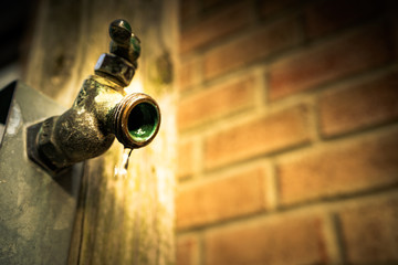 Sprintime faucet in the garden3.
