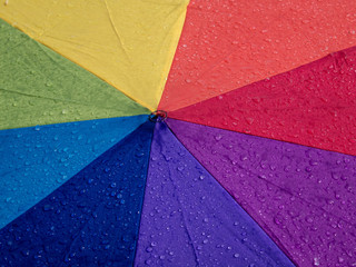 umbrella 