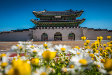 Gyeongbokgung Palace in Seoul,South Korea. - 205821570