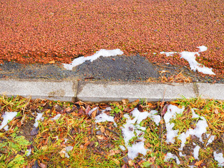 Top view Japanese park bike cycle lane smooth red asphalt with long cement block border and wet green, dry brown grass, black soil, fallen leaf, melting white snow pile dirt stains background
