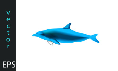 delfino illustrazione vettoriale realistica