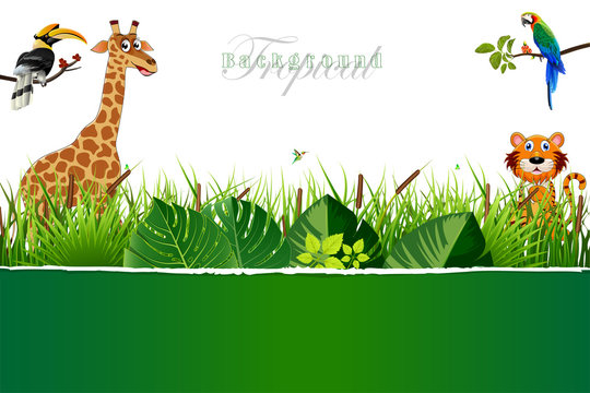Jungle or Zoo Themed Animal Background.