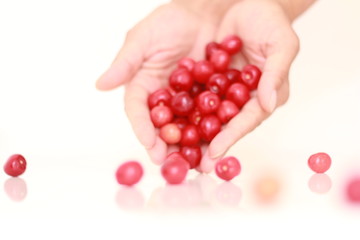  A handful of cherries in a cherry basket A cherry in a handful of cherry fruits A cherry in a handful of fruits