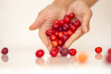  A handful of cherries in a cherry basket A cherry in a handful of cherry fruits A cherry in a handful of fruits