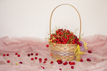 Fototapeta na wymiar A handful of cherries in a cherry basket A cherry in a handful of cherry fruits A cherry in a handful of fruits