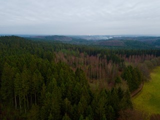 Aerial view over a forest in Sweden during winter